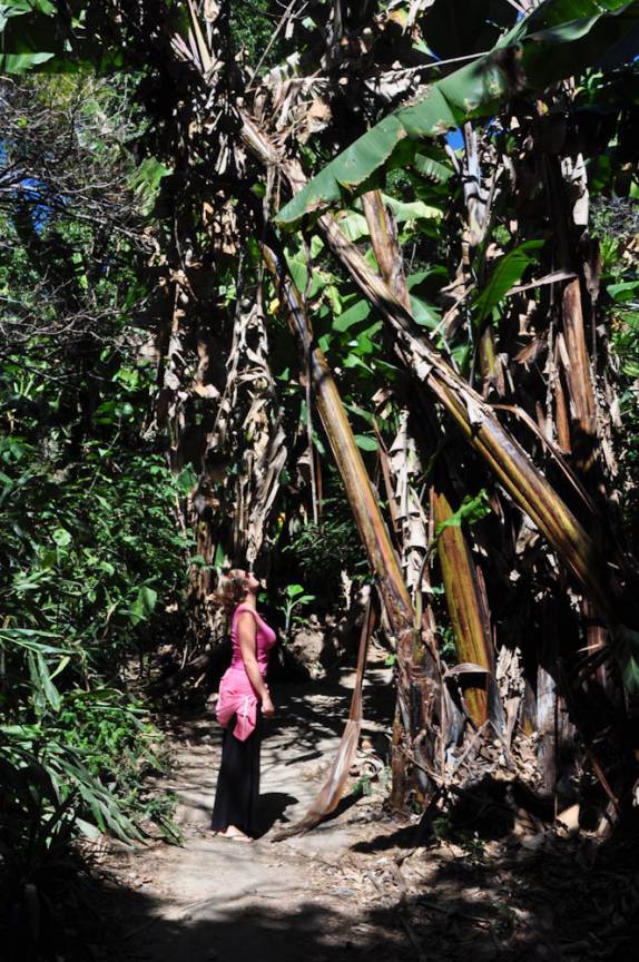 Bananeiras em uma das trilhas de San Marcos, no lago Atitlán, na Guatemala